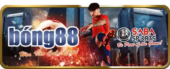Cá cược bóng đá sôi động tại vn16 đăng nhập